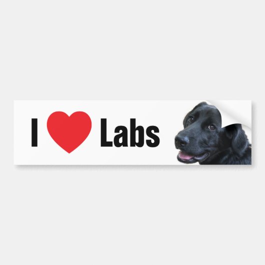 I Heart Labs Bumpersticker (Voorkant)