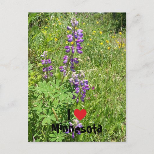 I Heart Minnesota Briefkaart (Voorkant)