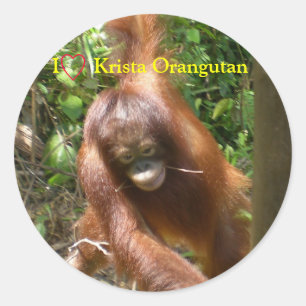 I Heart Orangutans Ronde Sticker