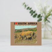 I Heart South Africa Rhino tot riet Briefkaart (Staand voorkant)