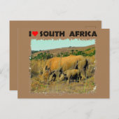 I Heart South Africa Rhino tot riet Briefkaart (Voorkant / Achterkant)