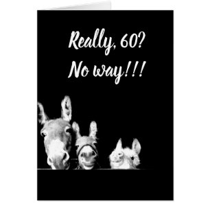 **I IS EEN DONKEY'S UNCLE** DIE JE NIET KAN ZIJN *