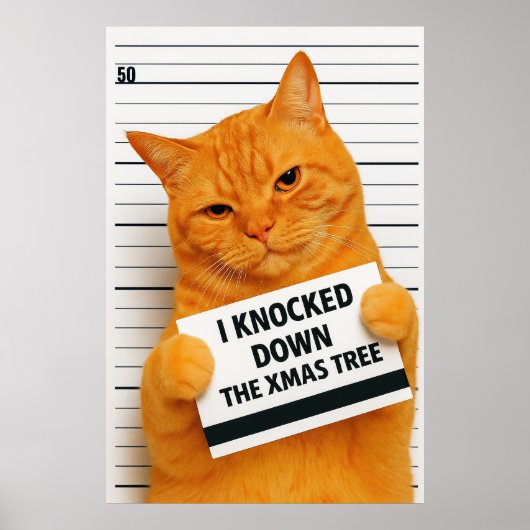 I Knocked Down the Xmas Tree 😼🎄 Poster (Voorkant)