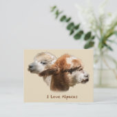 I Love Alpacas Briefkaarten (Staand voorkant)