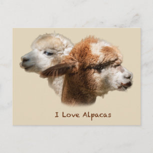 I Love Alpacas Briefkaarten