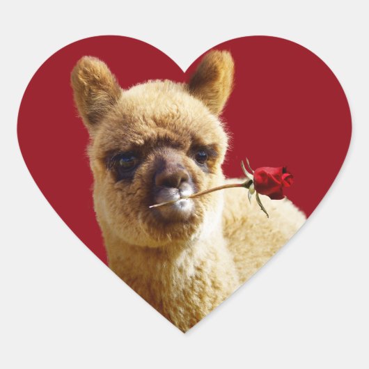 I Love Alpacas Coeur Stickers pour Amoureux des an (Devant)
