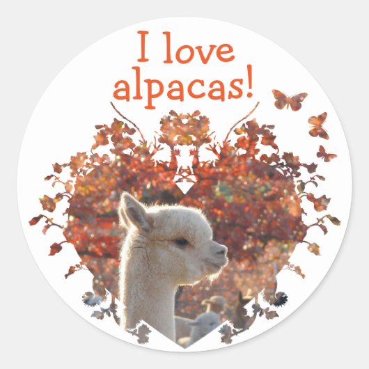 I Love Alpacas Stickers (Voorkant)