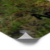 I Love American Bull Dogs Poster (Coin)