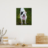 I Love American Bull Dogs Poster (Cuisine)