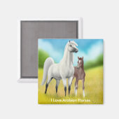 I Love Arabian Horses Magnet (Recto/Verso)