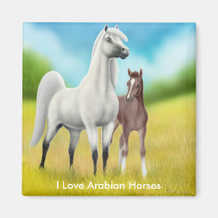 I Love Arabian Horses Magnet Magneet