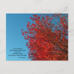 I Love Autumn Briefkaart