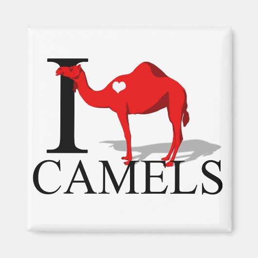 I Love Camels Magnets (Devant)