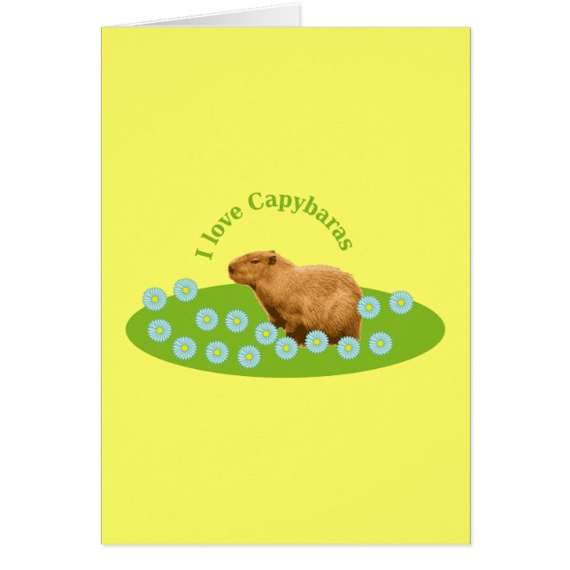 I love Capybaras (Devant)