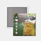 I Love Cats aimant (Recto/Verso)