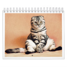 I love cats calendar 2026