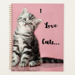 I Love Cats Calendrier Planificateur