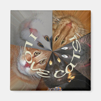 I Love Cats Magnet
