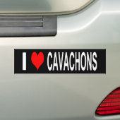 I Love Cavachons Bumper Sticker (En voiture)