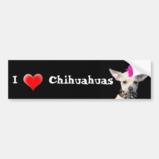 I Love Chihuahuas bumper sticker (Voorkant)