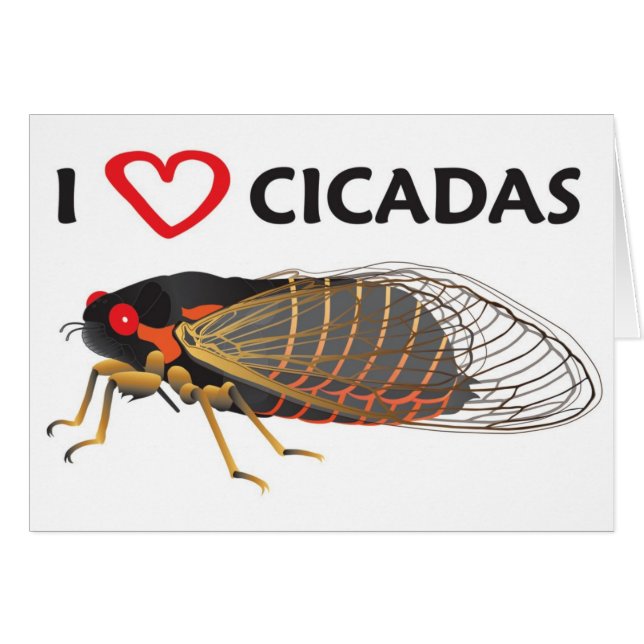 I Love Cicada (Voorkant Horizontaal)