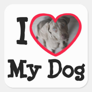 I Love (coeur) My Dog Stickers Photo Personnalisé