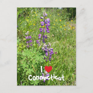 I Love Connecticut Briefkaart
