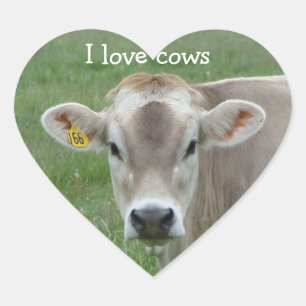 I Love Cows Jersey Cow Sticker Coeur