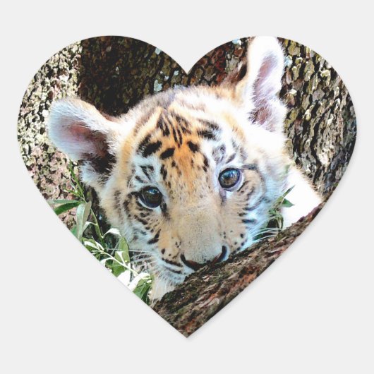 I Love Cute Baby Tiger Cubs Hart Sticker (Voorkant)