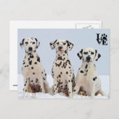 I Love Dalmatian Briefkaart (Voorkant / Achterkant)