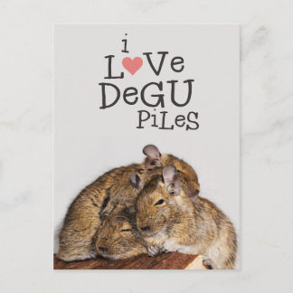 I Love Degu Piles Briefkaart