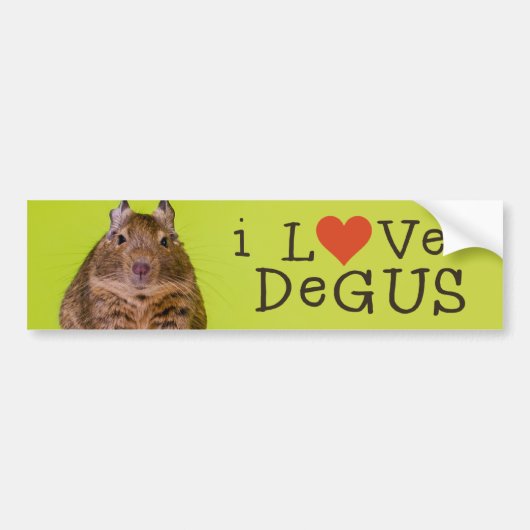 I Love Degus Bumpersticker (Voorkant)