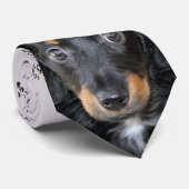 I Love Dogs Dachshund Cravate (Roulé)