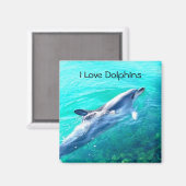 I Love Dolphins Magnet (Recto/Verso)