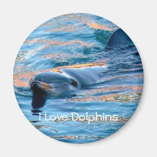 I Love Dolphins Magnet