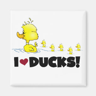 I Love Ducks Tshirts and Gifts Magneet