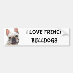 I Love French Bulldogs bumper sticker