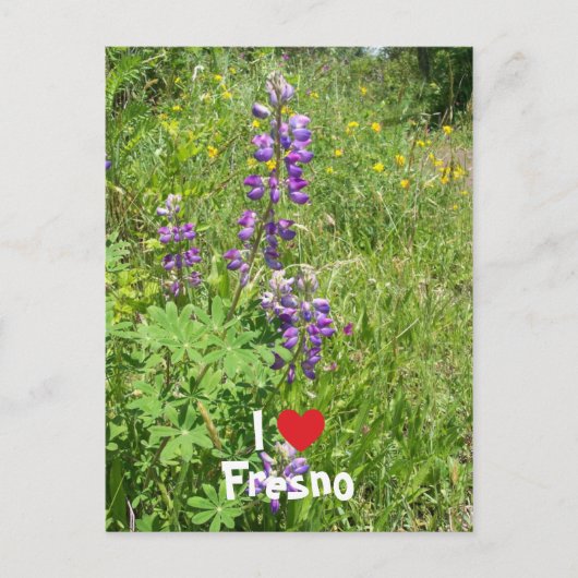 I Love Fresno Briefkaart (Voorkant)