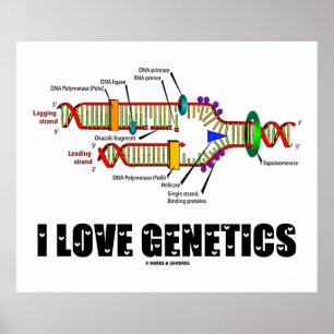 I Love Genetics (DNA Replication) Poster