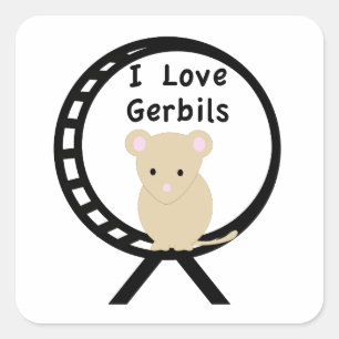 I Love Gerbils Vierkante Sticker