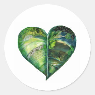I Love Green Sticker