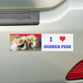 I Love Guinée Pigs Bumper Sticker (En voiture)