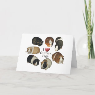 I Love Guinee Pigs - NoteCard Kaart