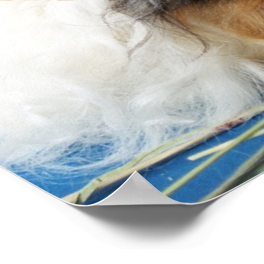 I Love Guinee Pigs Poster (Hoek)