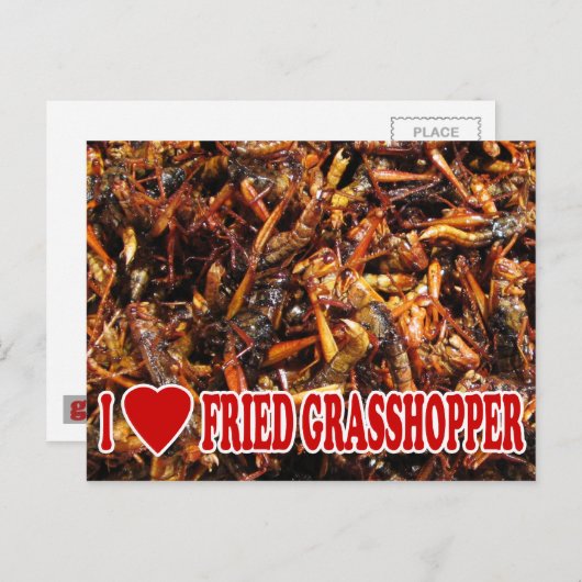 I Love (Heart) Fried Grasshopper Briefkaart (Voorkant / Achterkant)
