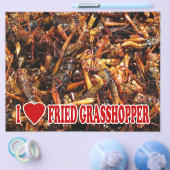 I Love (Heart) Fried Grasshopper Flyer (Enkel)