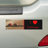 I Love Heart Ladybugs Natuur 2 Bumpersticker (Op auto)