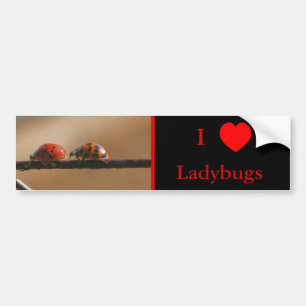 I Love Heart Ladybugs Natuur 2 Bumpersticker