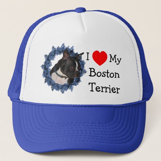 I Love Heart My Boston Terrier Chien Casquette (Devant)