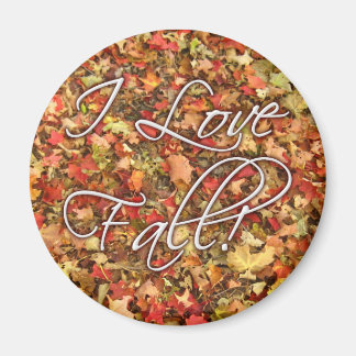 "I Love Herfst" laat Magnet achter Magneet